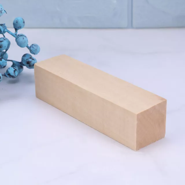 10 Basswood Carving Blocks for Wood Whittling Crafts