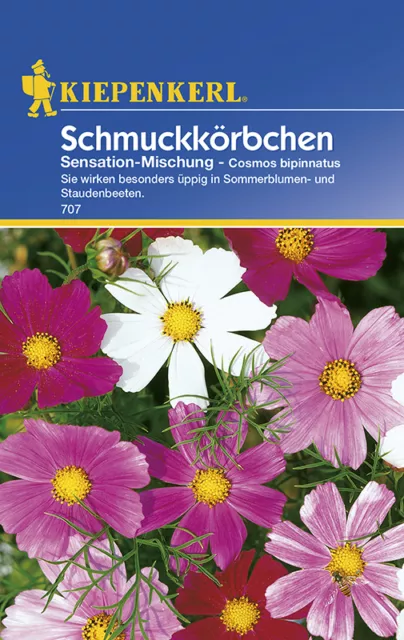 Schmuckkörbchen * Sensation - Mischung * MHD 01/26 Cosmea Kiepenkerl Samen 707