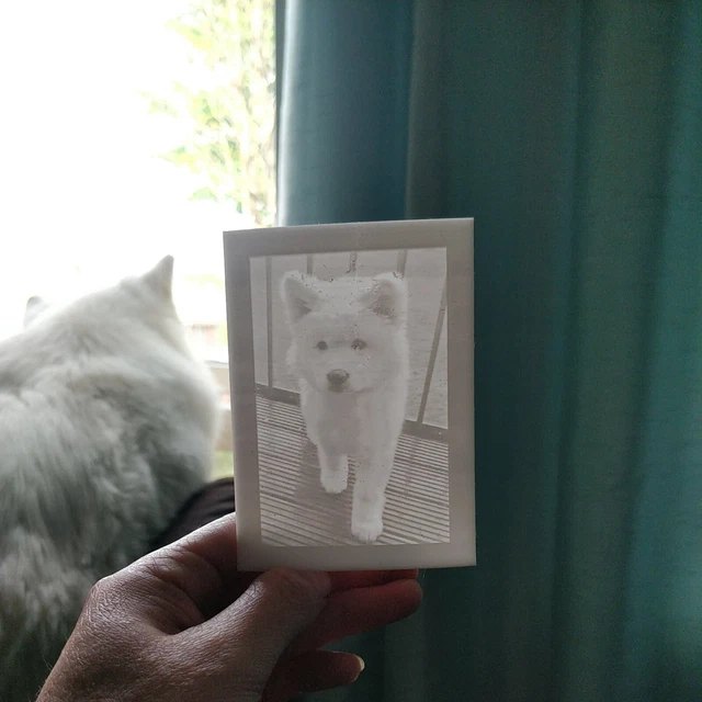 Pet animal custom portrait from your photographs  small 3d printed lithograph