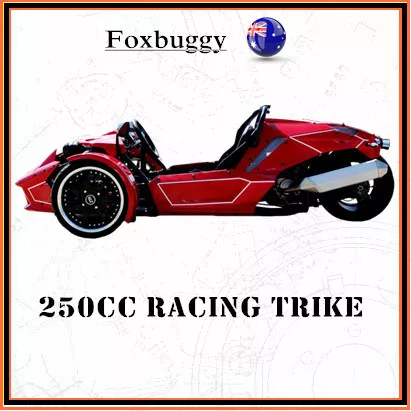 250cc ROADSTER TRIKE SPORT RACING QUAD BIKE ATV 3 WHEELER SLIDER