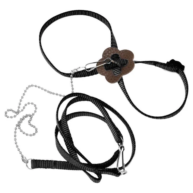 Adjustable Bearded Dragon Reptile Harness - Multi Colors - Easy Carry