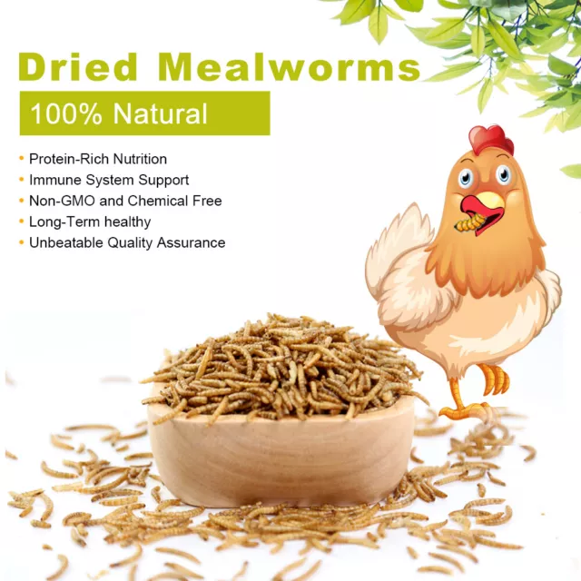 Wholesale Bulk Dried Mealworms for Wild Birds Food Blue Bird Chickens Hen Treats 3