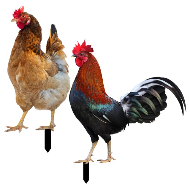 2 Pcs Chicken Garden Stakes Chicken Sculpture Miniture Decoration Outdoor Decor