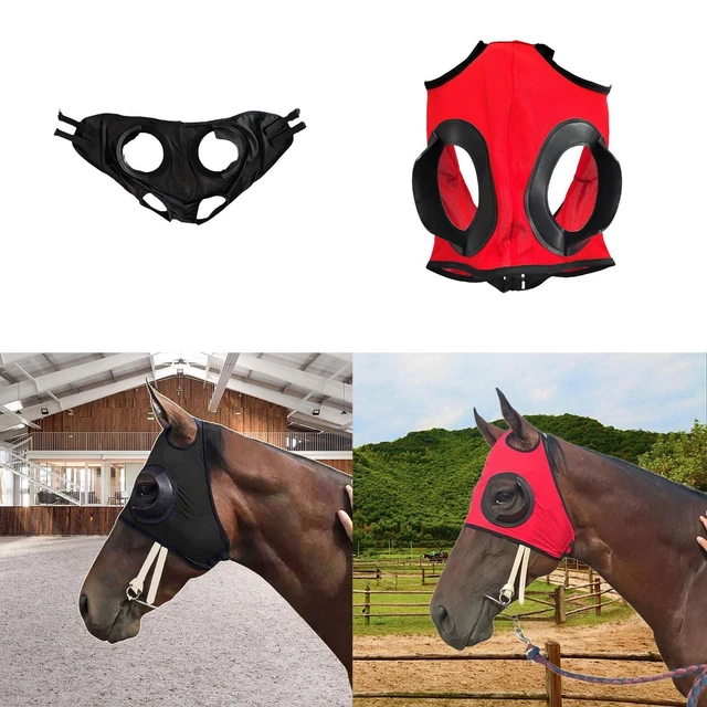Ancien Harnais D'équitation En Cuir, Art Populaire Français, Pièce Ancienne