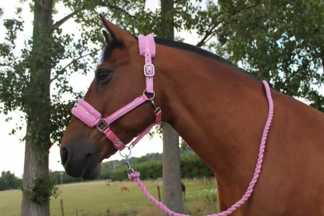 NEW Horse print fur padded headcollars halter + matching lead PINK PONY