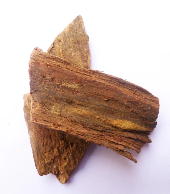 100% PURE GENUINE Herbals Herbs Arjuna Bark Terminalia Arjun -100 gram ...