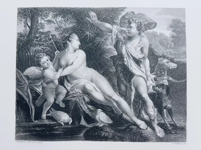 Annibale Caracci Venus Und Adonis 1872 Antiquarische Stahlstich Gravure Kunst