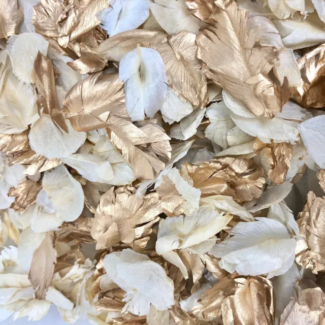 GOLD + Ivory Dried Biodegradable Wedding Confetti Real Flower Petals