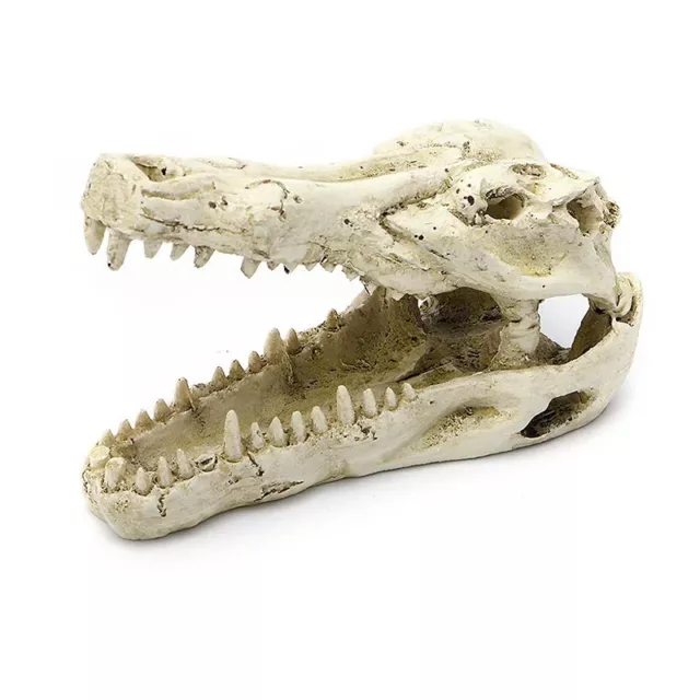 Aquarium Decoration 5" Resin Crocodile Skull Artificial Decor Fish Tank Ornament 3