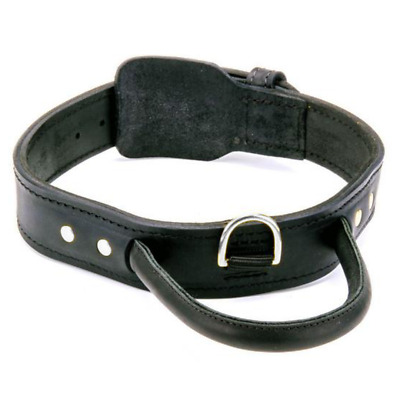 Genuine Leather Dog Collar With Handle Large Pet Collar 1.75" Wide Heavy Duty