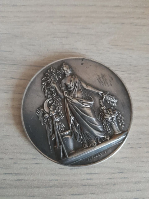 Médaille Argent 1886 UNION TIR DE FRANCE Par H. Dubois - Pièce De Collection - État Non Spécifié