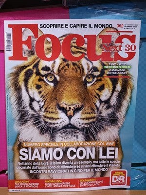 CAT Tigre Tappeto Profilo del nero Hunter Cat 