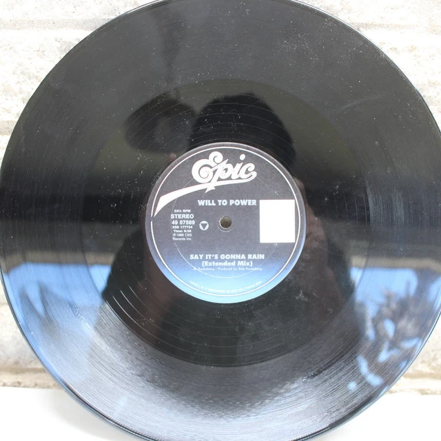 Will To Power Say It's Gonna Rain SINGLE 12" Vinyl Record VG+