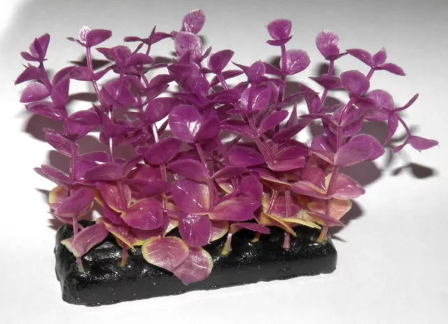 Kunststoffpflanze Alternathera 8cm Wasserpflanze Aquarium Künstliche Pflanze
