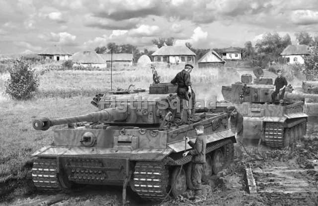 WW2 Picture Photo WW2 German Wehrmacht Tiger I Tank Print  BW 5761