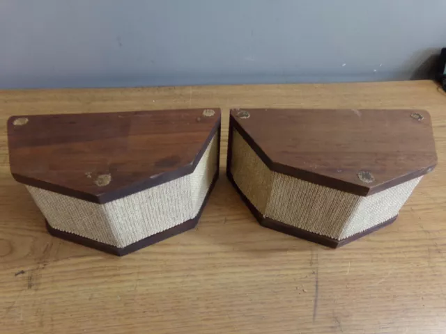 Pair Of Microstatic Ms-1 Speakers