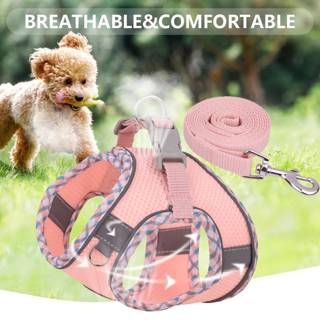 Gonna Tutù Colorata Per Cani - Costume Carino Per Feste E Compleanni - Foto 4