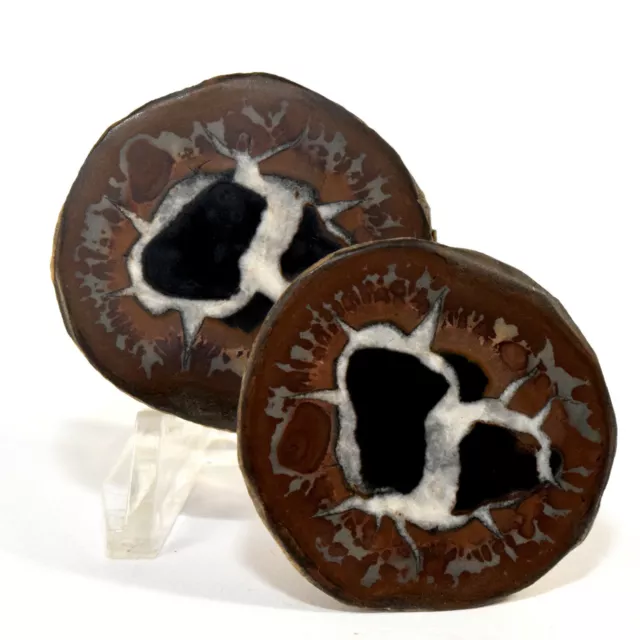 39mm Septarien Drache Stein Geode Paar Natürlich Kristall Mineral Probe Marokko