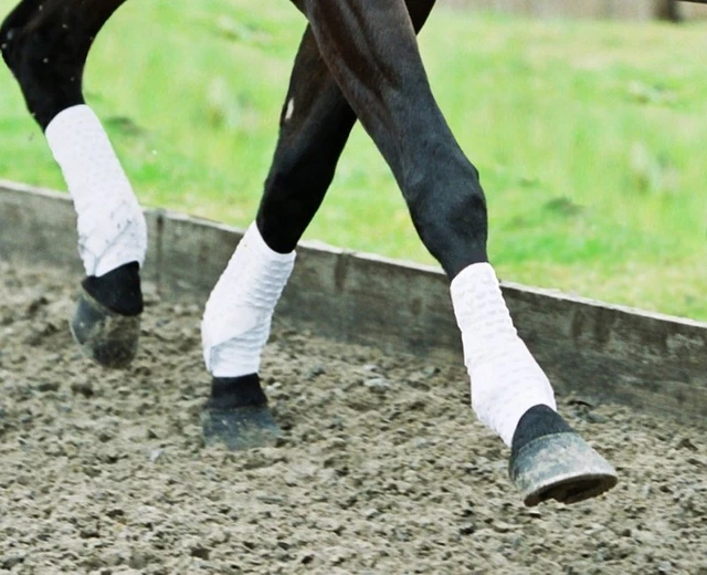 Equilibrium Stretch & Flex TRAINING WRAPS Supportive Dressage Black/White/Navy