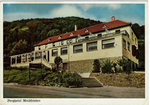 Beverungen AK um 1950 Berghotel Waldfrieden