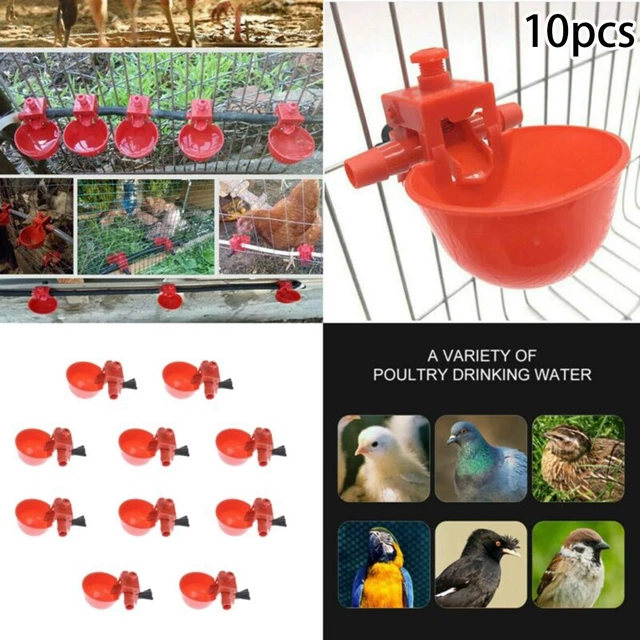 10PCS Poultry drinker Cup Hen Plastic Automatic Waterer Bird pigeon Durable