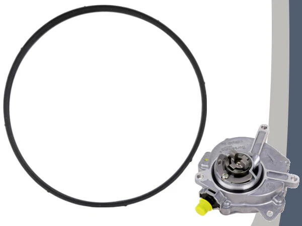 Aqxreight Kit Joints Toriques Pompe à Vide De Frein 55561100 Pour Saab 9-3 2003-2011 Et Regal 2.0T