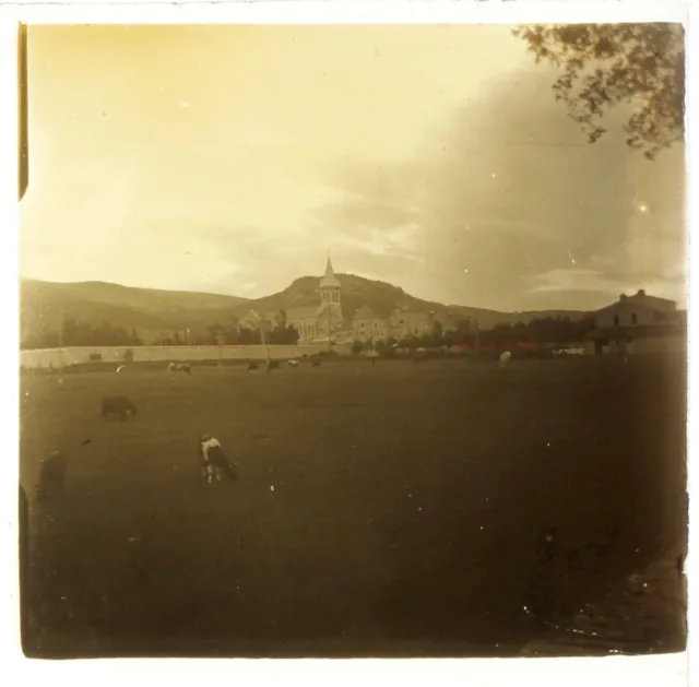Eglise à identifier Paysage Vaches c1930 Photo Plaque de verre Stereo Vintage