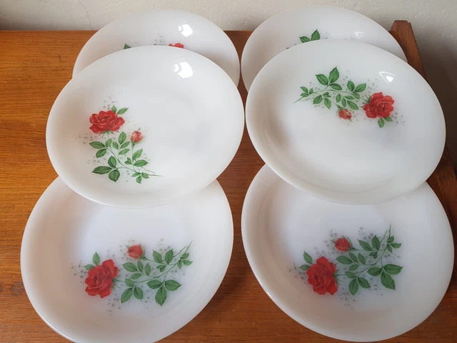 Lot De 6 Assiettes Creuses Arcopal Vintage - Décor Couleurs D'Automne - Légumes