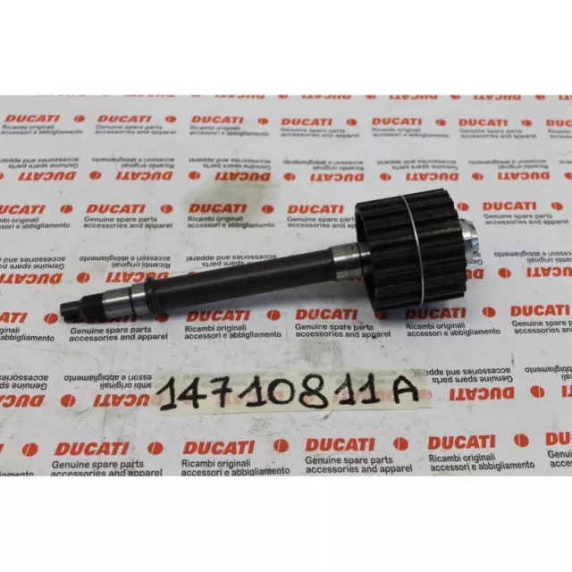 Albero rinvio distribuzione Timing layshaft Ducati Monster 1200 821 Diavel 1200