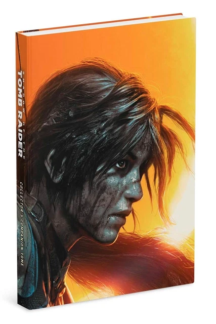 FINAL FANTASY X guida strategica inglese PS2 EUR 45,00 - IT