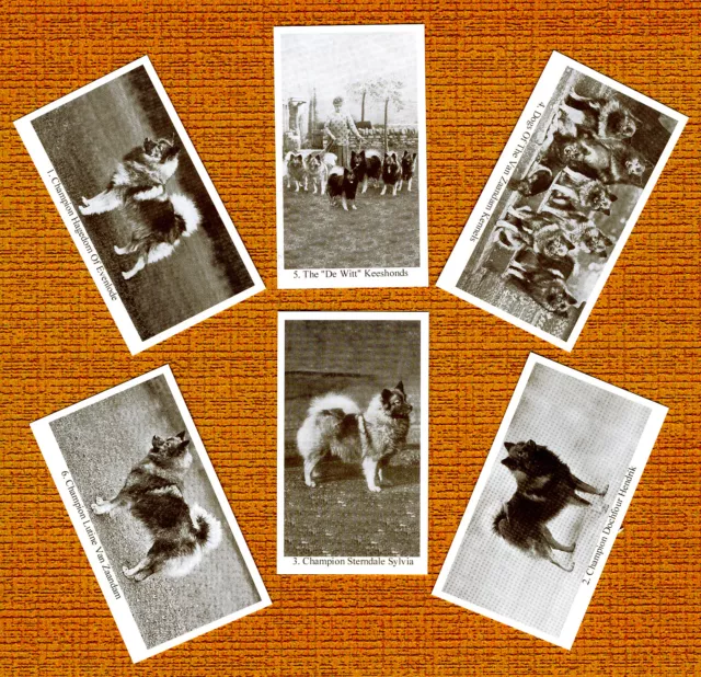 Keeshond Set Of Six Named Dog Collectable Trade Cards Great Gift