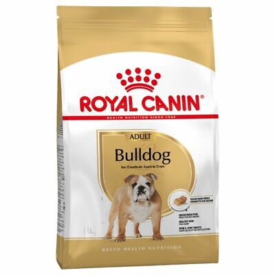 Bulldog Inglese Royal Canin 12 Kg Per Cani Adulti