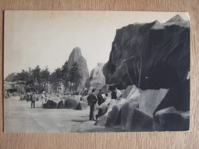 Cpa Paris (75) Bois De Vincennes Zoological Park Bear Rock View.