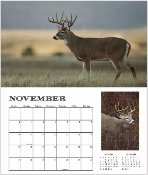 SALE!! WHITETAIL DEER 2024 Buck Fever Wall Calendar hunting camp ten
