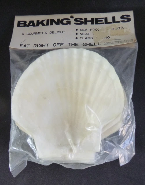 4 Scallop Sea Shells Large 5" Beach Decor Craft Baking Serving NJ MIP