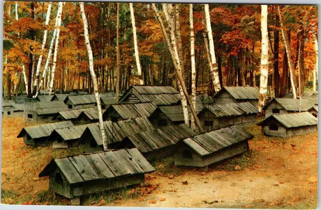 Postcard CEMETERY SCENE Between Crystal Falls & Iron River Michigan MI AM4706