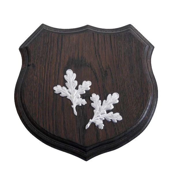 Armas Placa de Jabalí Af 17 CM Con 2 Pieza Hoja de Roble Portada
