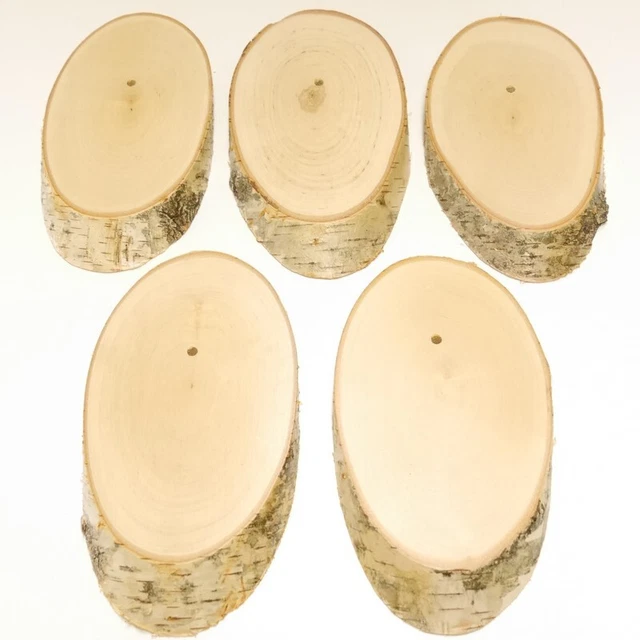 5 Pieza Abedul Placa Escudo de Trofeo para Ciervo Baumscheibe Baumschild Af 19cm