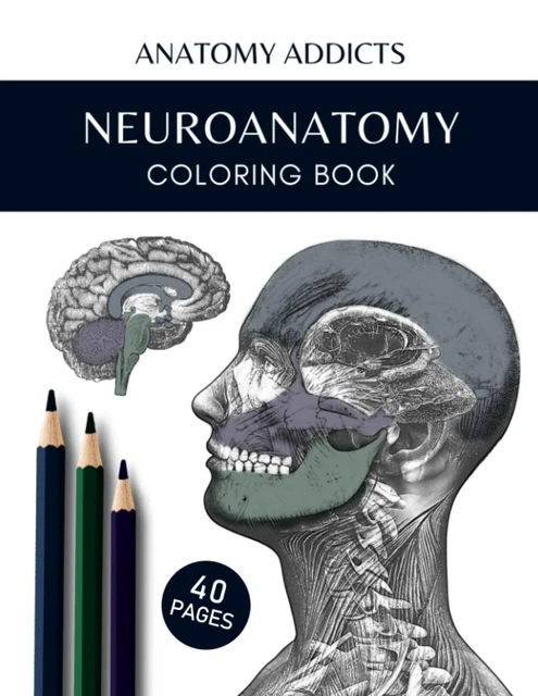 NEUROANATOMY COLORING BOOK by Anatomy Addicts *BRAND NEW* Free Delivery ...