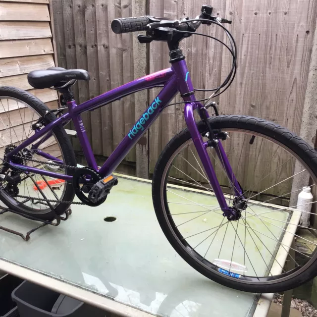 Ridgeback dimension 24 2025 purple