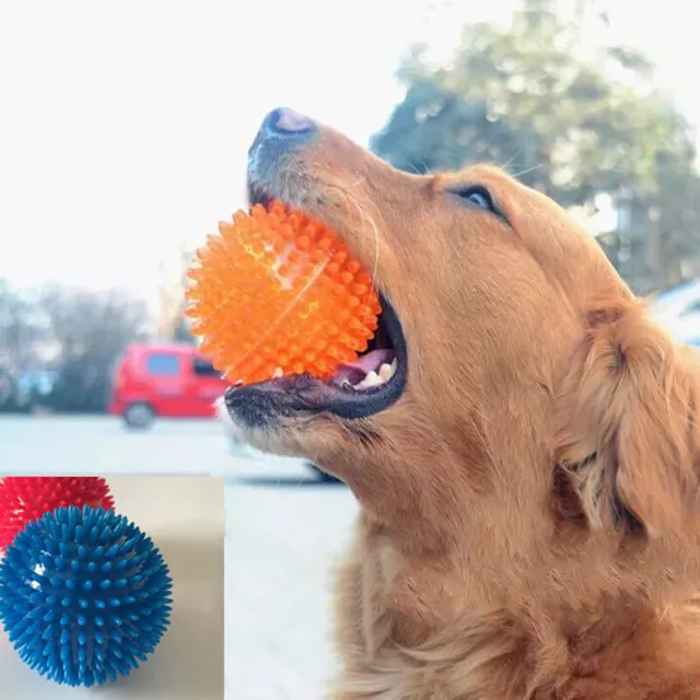 Dog Rubber Toy Bouncy Floating Teeth Cleaning Spiky Squeaky Ball Dog To YK