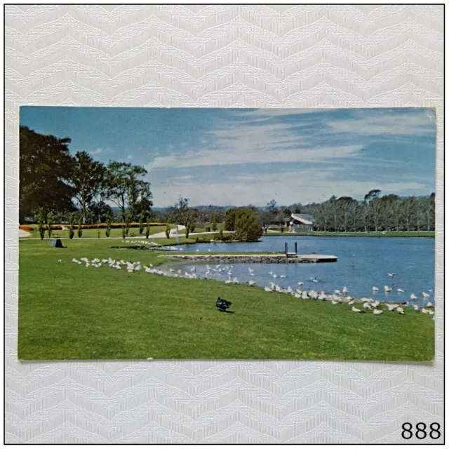 City of Adelaide Torrens Lake looking across Pinkie Flat Postcard (P888)