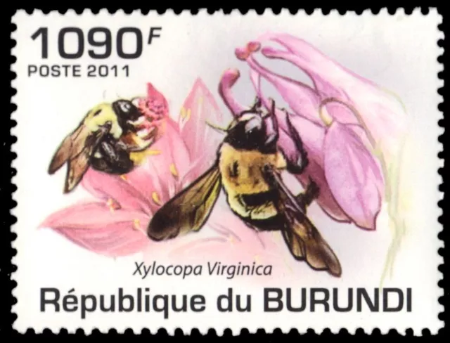 BURUNDI 883 - Eastern Carpenter Bee "Xylocopa virginica" (pb73090)