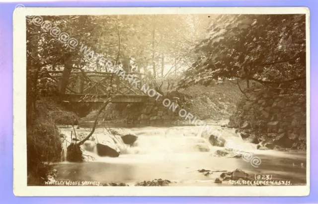Nice Early 1907 Whiteley Woods Sheffield Yorkshire Real Photo Rp Local Postcard