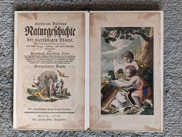 Antike Kolorierte Kupferstiche 2 Seite "Naturgeschichte der vierfüßigen Thiere"