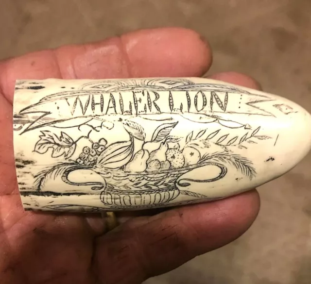 Scrimshaw Resin Reproduction Sperm Whale Tooth  " The Ship Lion"