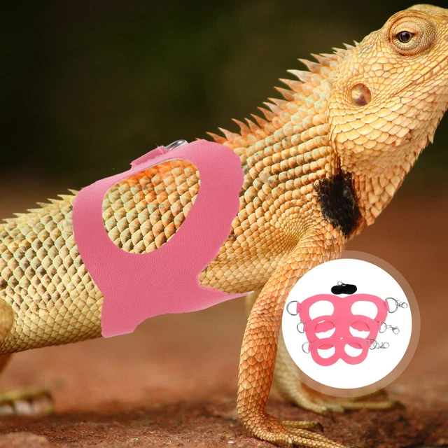 1 juego de arnés de reptil al aire libre mascotas pequeñas arnés de entrenamiento lagarto ajustable