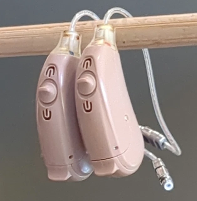 REXTON KIRKLAND SIGNATURE KSHA04 RIC Hearing Aids Pair 100.00 PicClick