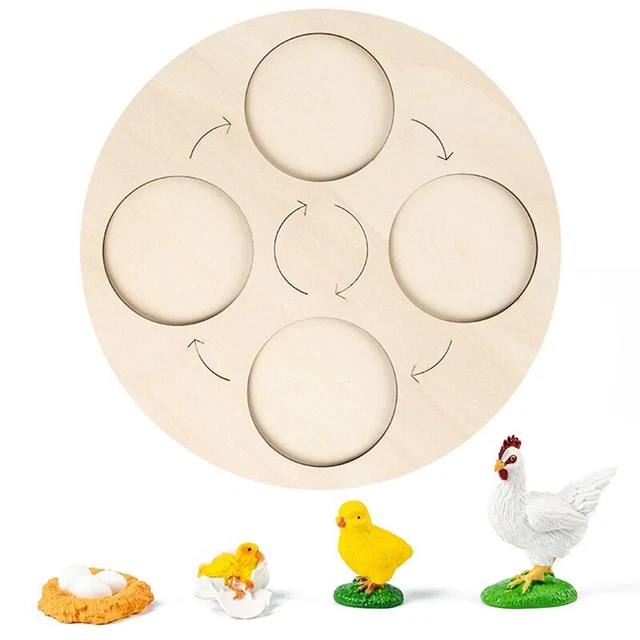 Dinosaurier Lebenszyklus Spielzeug - 4 Stufen, PVC Figuren, Pterosaurier/T-Rex, Lehrreich