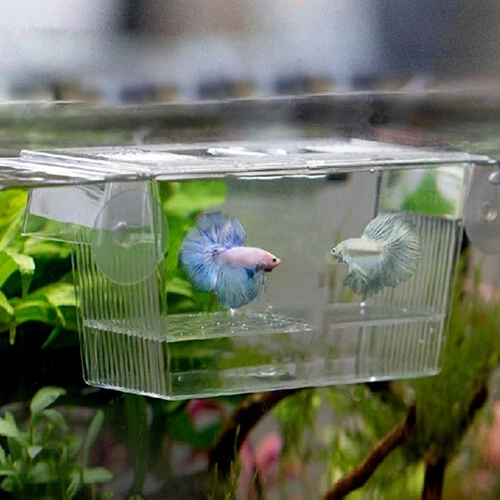 Aquarium Fish Tank Guppy Double Breeding Breeder Rearing Trap Box Hatchery